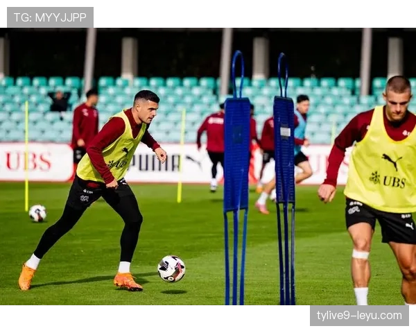 瑞士多语种球队协作创新 助力足球文化多元繁荣 瑞士多语种球队协作创新 助力足球文化多元繁荣