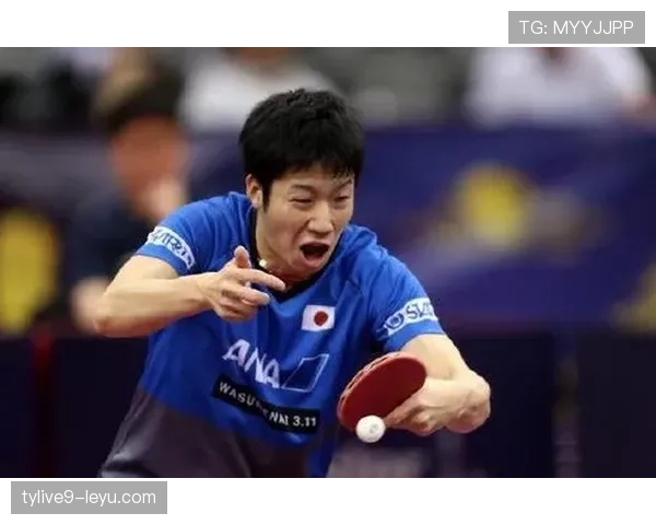 蓝武士球迷热情助威，期待日本国家队国际赛场再创佳绩