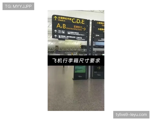 刷到翁泓阳出机场，那行李箱像小金库，我看价格的手都抖了